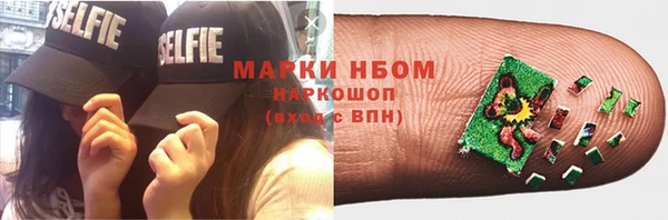 сатива Белоозёрский