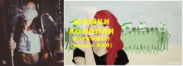 крисы Белокуриха