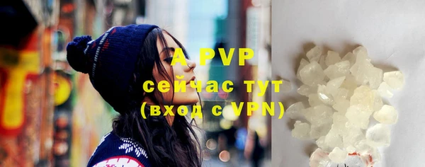 сатива Белоозёрский