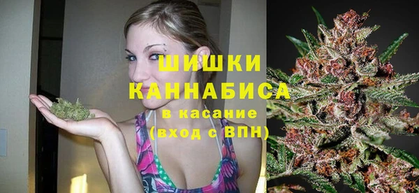 крисы Белокуриха