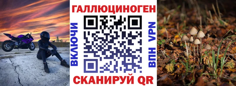 MEGA вход  Вельск  Галлюциногенные грибы прущие грибы 